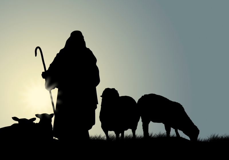 Finding Peace in the Shepherd's Care: Letting Go of Worry